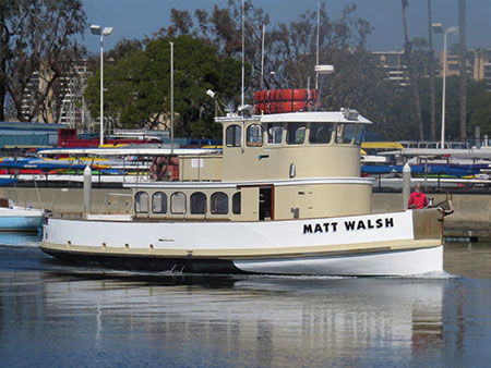 Matt Walsh'